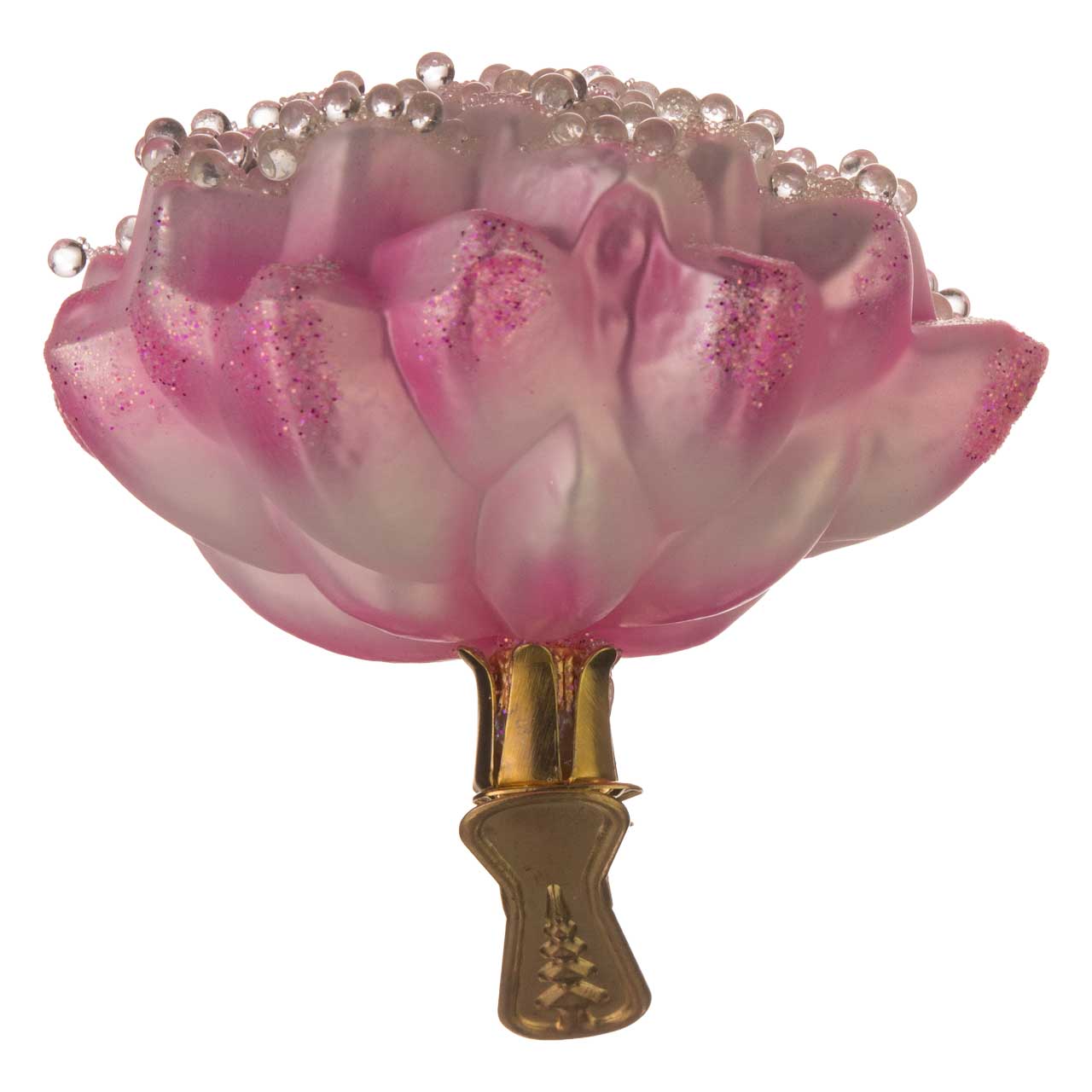 Dahlia
