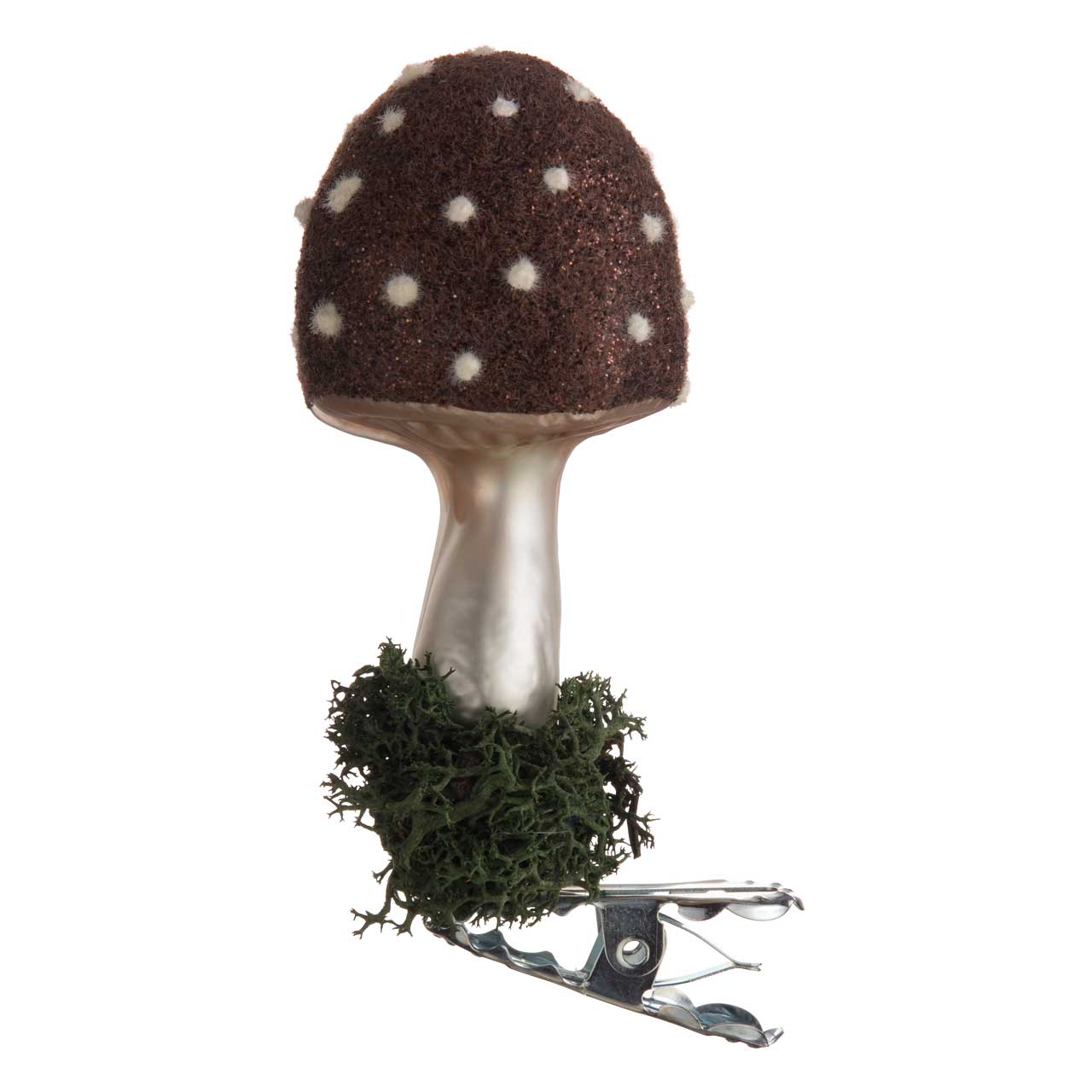 amanite mouche brune