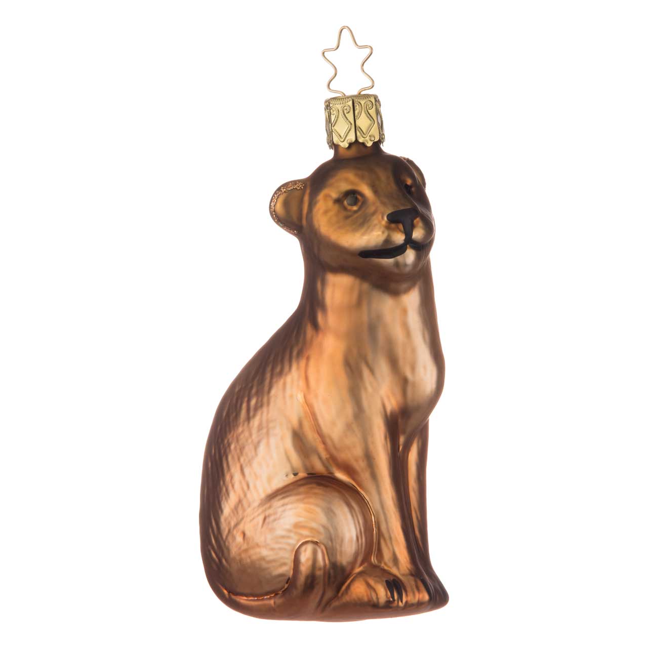 Lionne