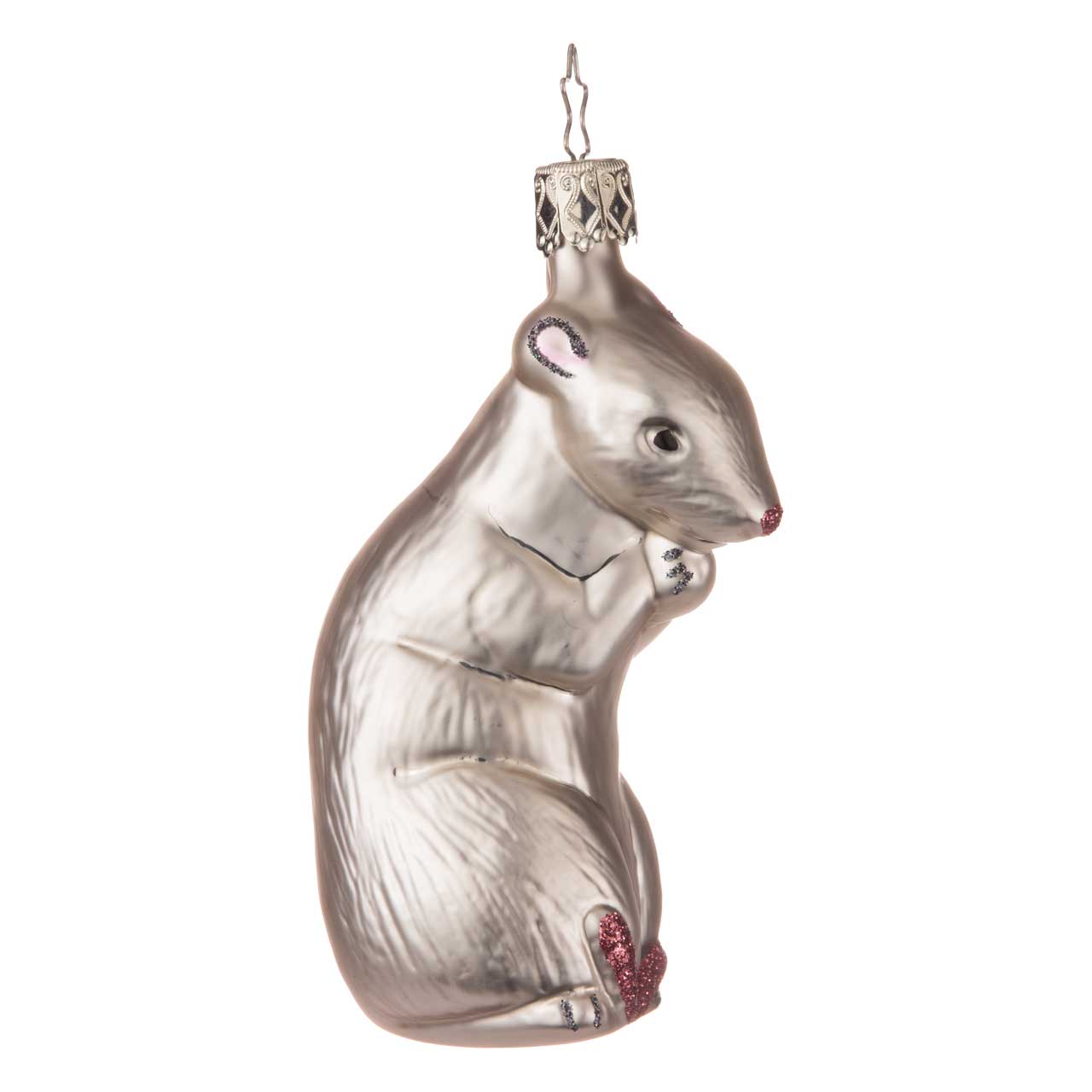 Rat