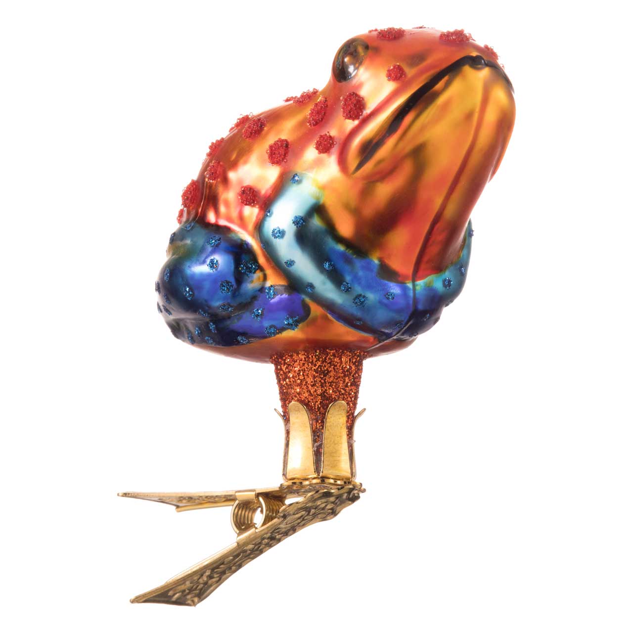 Grenouille au venin de flèche Grenouille au venin de flèche