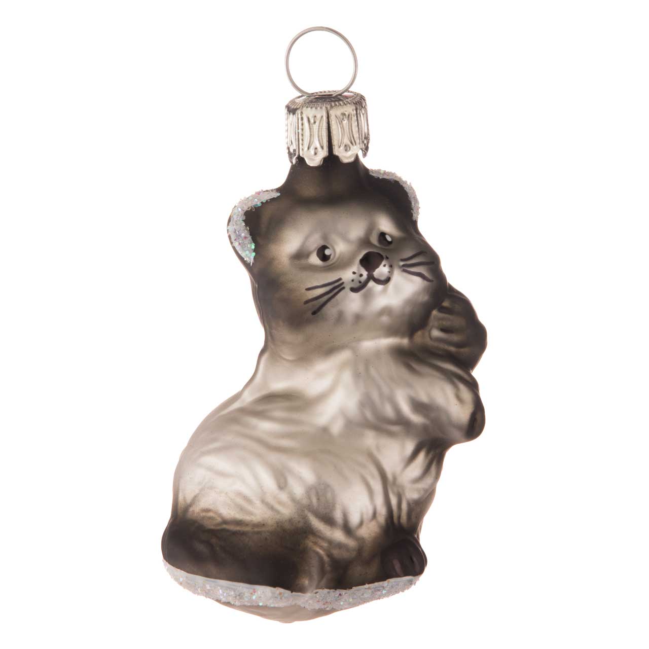 Bébé chat