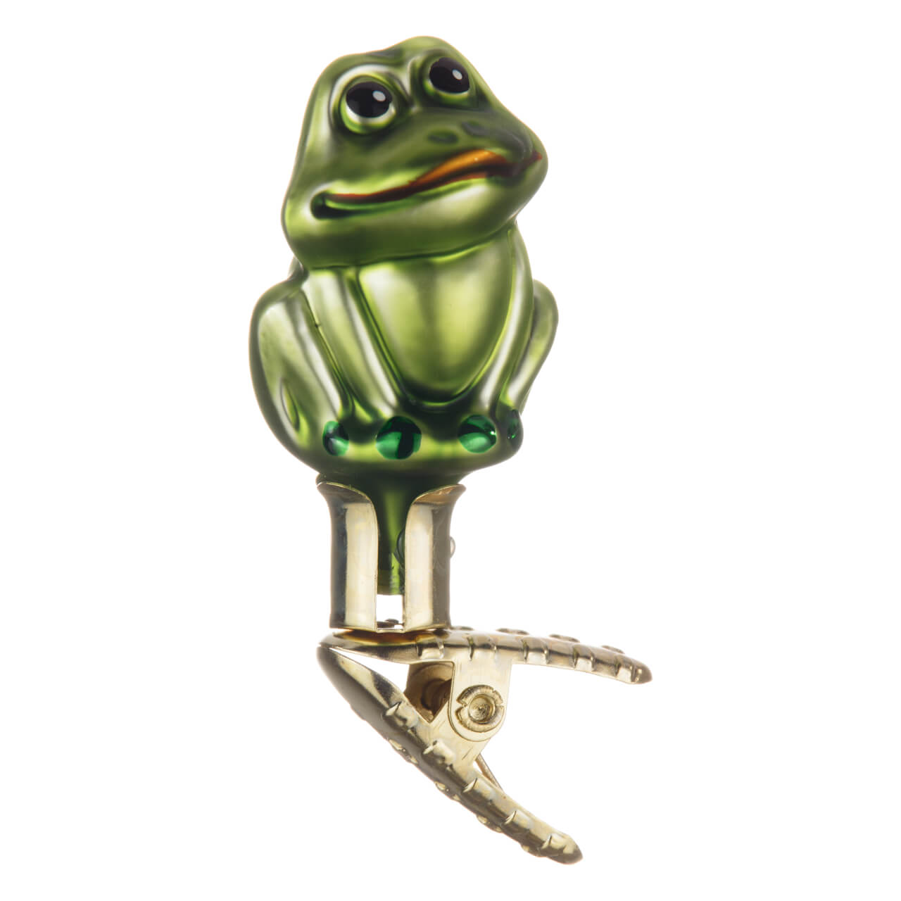 Petite grenouille