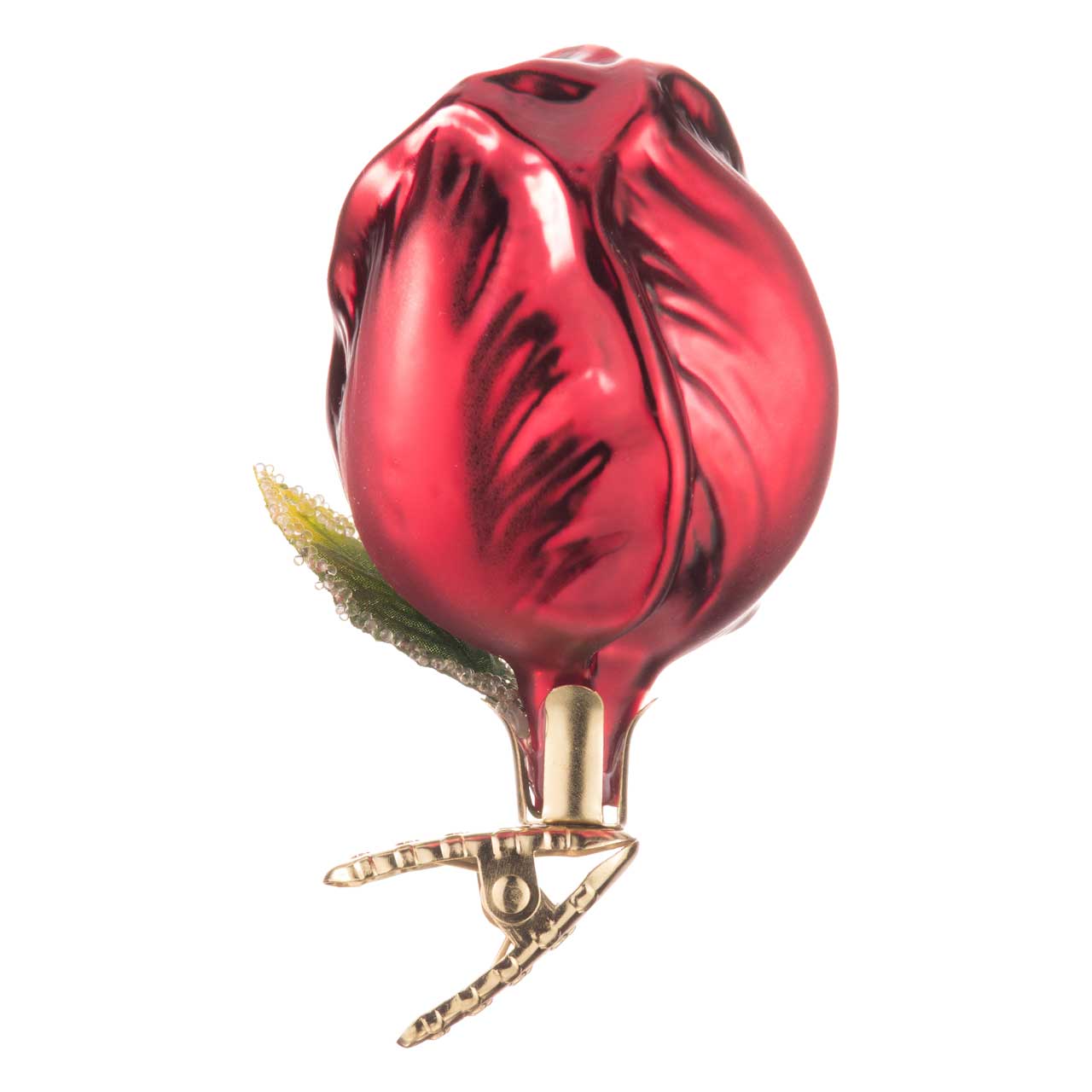 Tulipe
