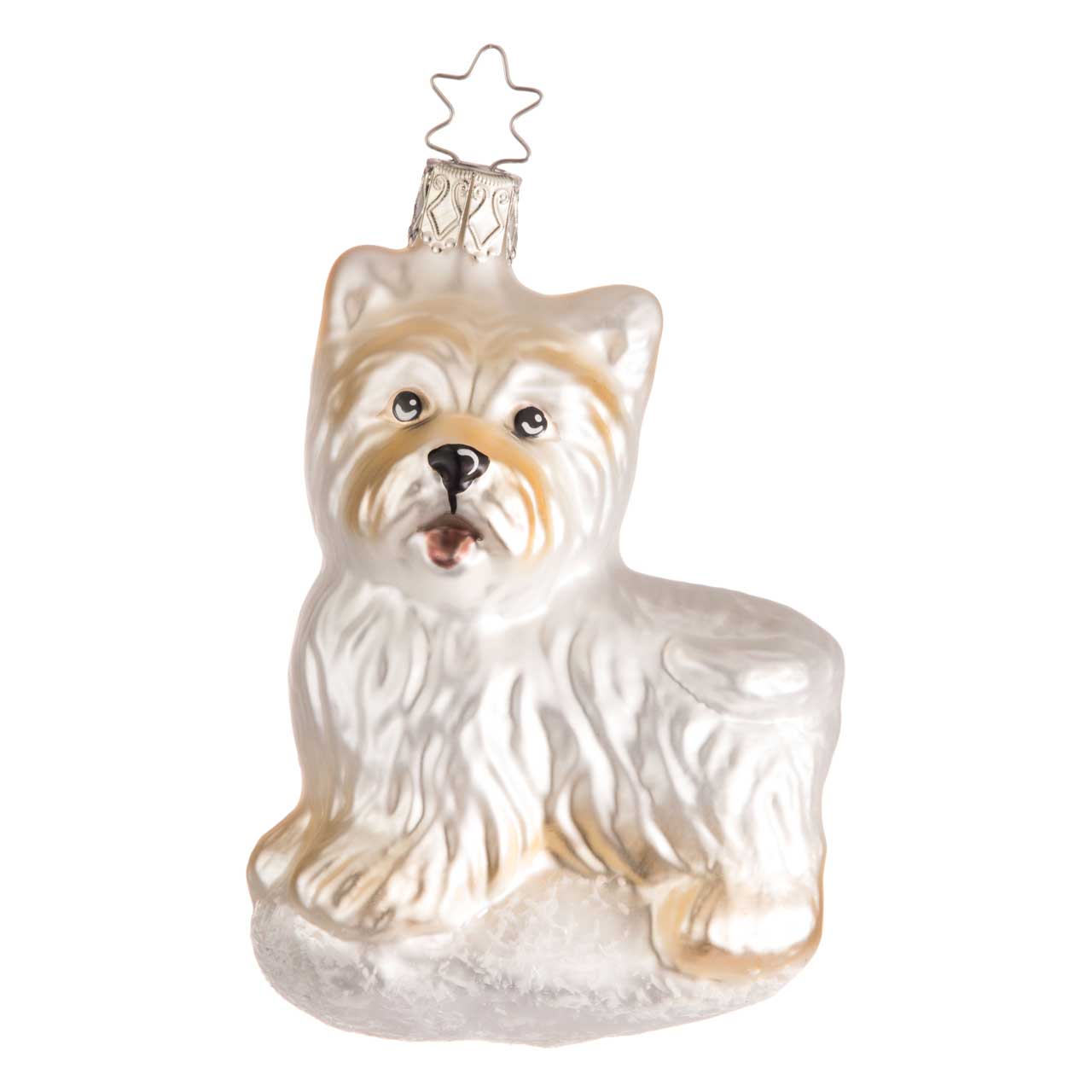 West Highland Terrier West Highland Terrier