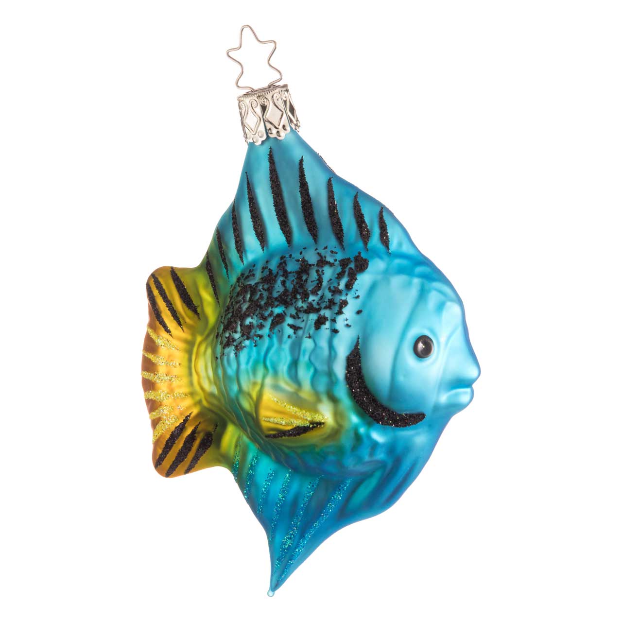 Poisson docteur